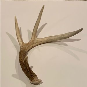 Dog antler chew toy